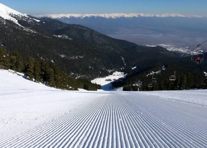 двуспален в к-с пирин палас 公寓 班斯科